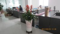 绿化供应