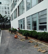 绿化种植施工中